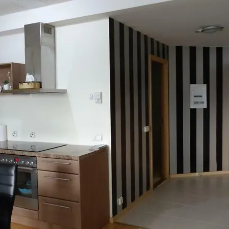 Appartement City Center - Tornimae Tallinn